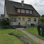 Kirsch-kern *