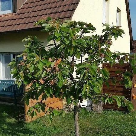 Kirsch-kern Apartment Moessingen